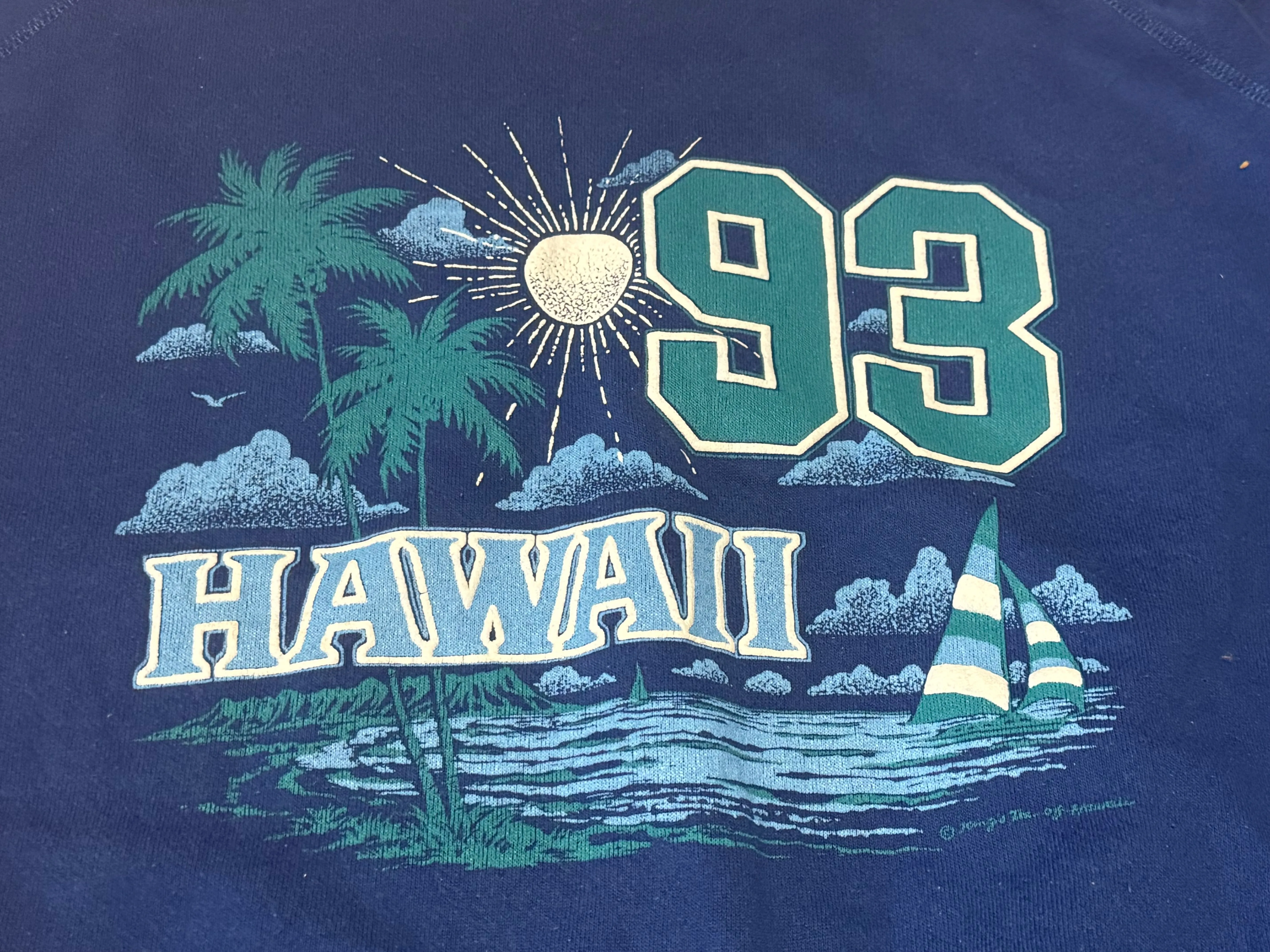 Vintage Blue Hawaii 93’ Sweatshirt (XL)