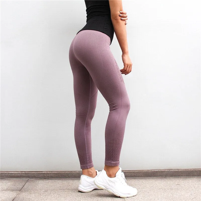 Women  Seamless Yoga Pants Shark Stitching Gym Tights Lulu Leggings Fitness Hollow out Running Workout Pants Sportswear  YP009